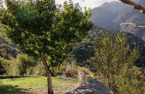 Taygeti's mountain lodge - Foto 27