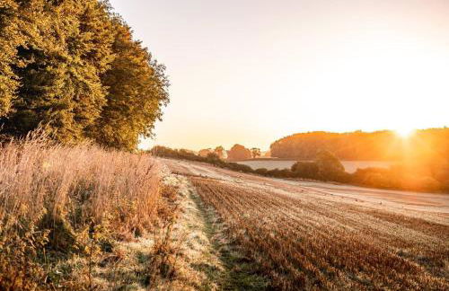 Maplescombe - Foto 40