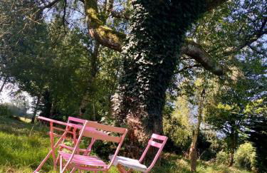 La maison normande 5 chambres - Foto 79