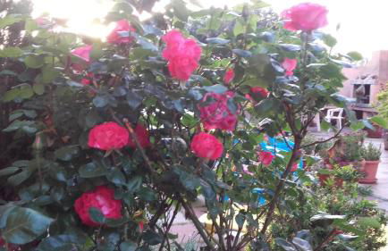 Corte Mannoni - Photo 1