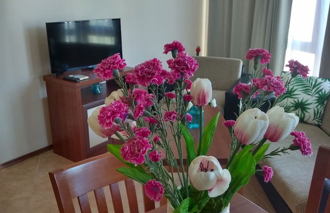 TSB Sunny Victory Apartments - Photo 19