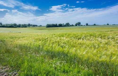 Holiday home treehouse Weissenhäuser Strand - Foto 30