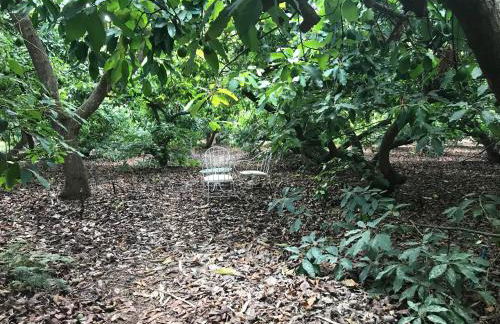 Finca El Vergel Rural - Photo 4