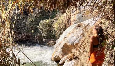 Cortijo Chupito - Foto 4, Garden