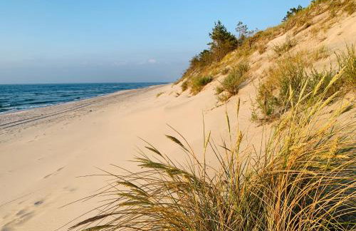 Sunny Apartament PUSTKOWO -SUNNY SIDE BALTIC- - Photo 44