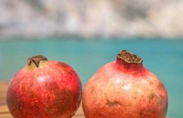 Giasemi Boathouse - Foto 9