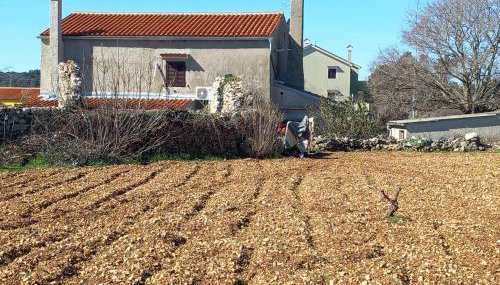 Holiday Home Loznati - Foto 5