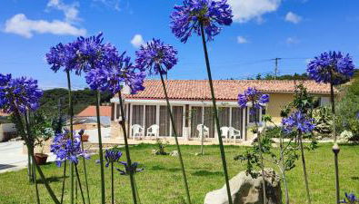 Kyrios Family 5p Villa with private pool - Foto 3, Garden, Garden view