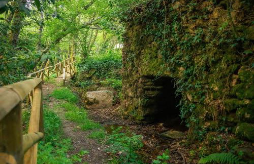 Casa do Abade - Country House - Photo 26