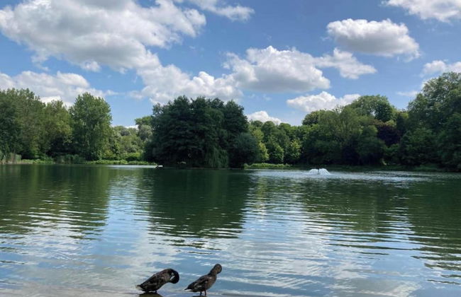 Royas Home Private Studio - Photo 31