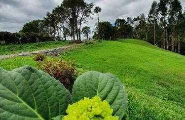 Rancho 4 Corações - Photo 55