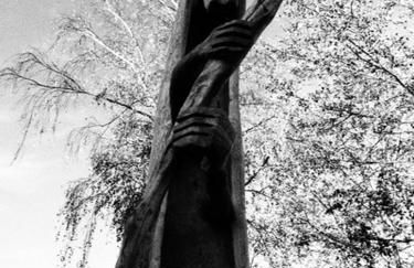 Ferienvilla-mv - Foto 17