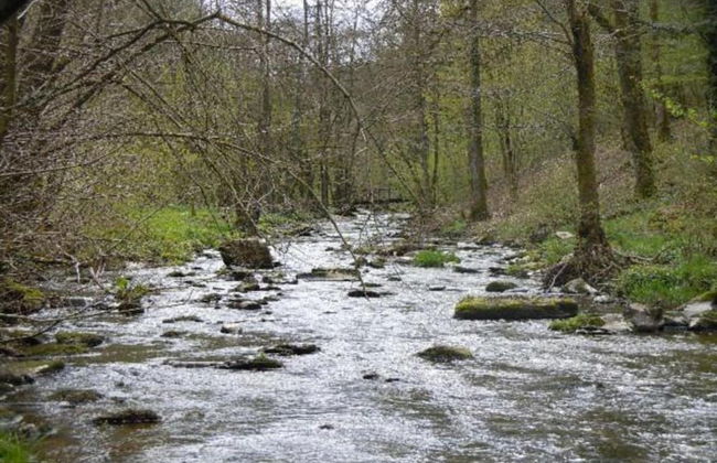 Pretty Cottage Ardennes near Valley of Lesse & Semois - Foto 37