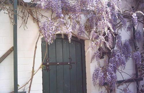 Ferienwohnungen "Christelhof" - Foto 24