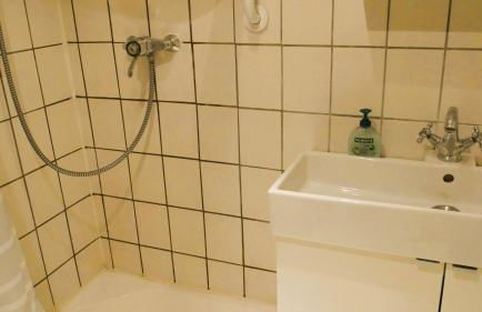 Kleiner Elefant - Foto 8