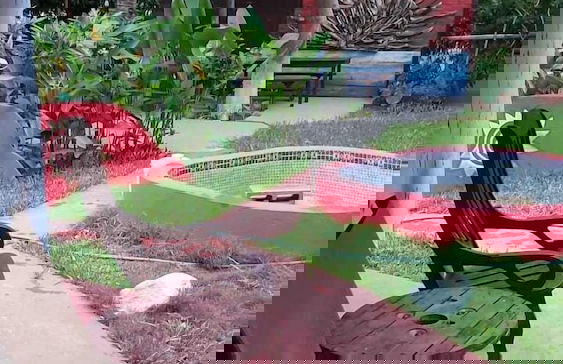 Apartamentos Massai - Foto 39