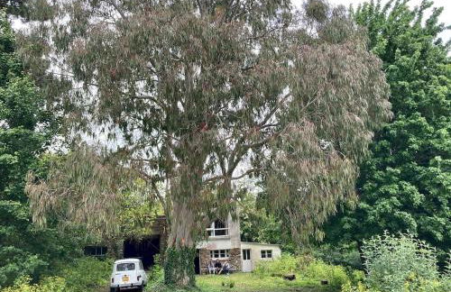 Site exceptionnel accès mer grands espaces - Foto 40