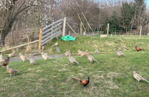 Tower Farm Holidays - Photo 36