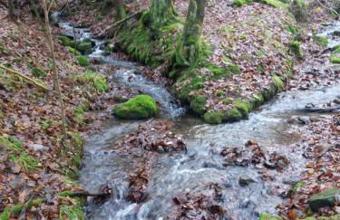 Ferienhaus Fam. Gottbehüt - Foto 24