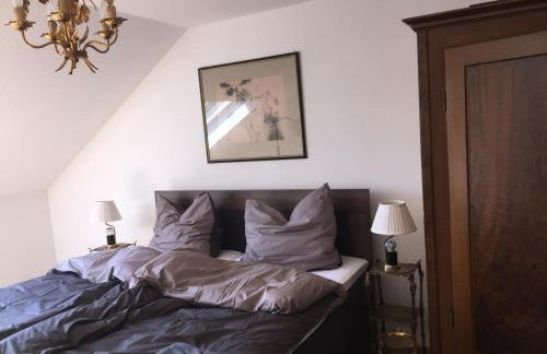 Stillvoll Wohnen mit Fahrradweg zum Festspielhaus - Foto 1