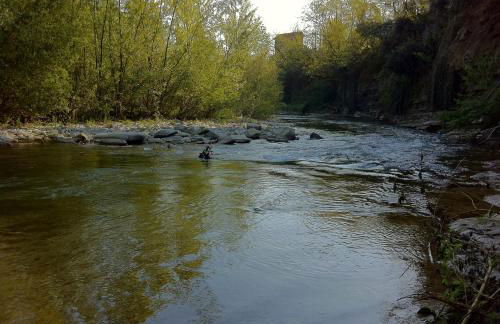 Corte San Ruffillo-Azienda Agrituristica - Foto 154
