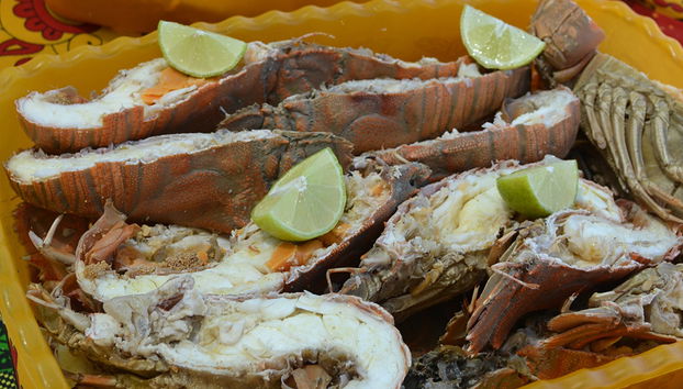 Nakupenda Cruise - Photo 5