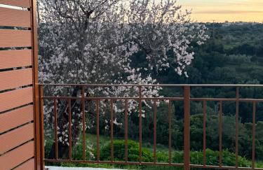 Villa Anthea - Foto 29