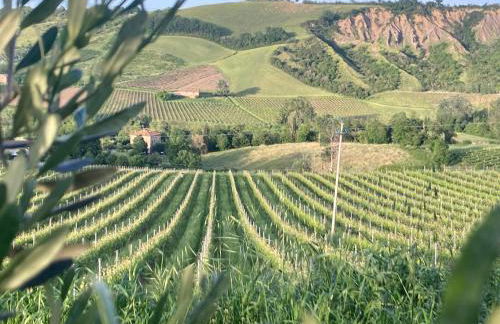 Agriturismo Camponovo - Photo 6