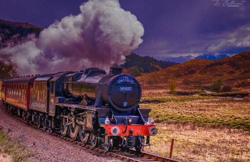 An Outdoor Enthusiasts Piece of Heaven - Photo 40