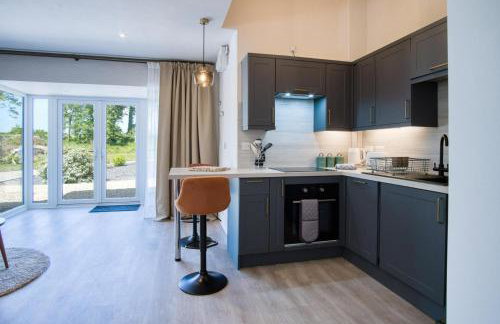 The P19 Sty - 1 Bedroom Studio - Princes Gate - Foto 11