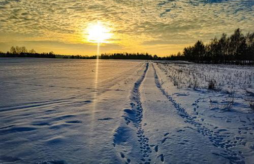 Ostoja Stacze - Foto 65