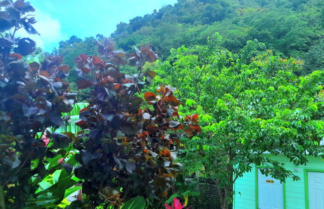 Pinard's Mountain Resort - Cottage 7 - Photo 34