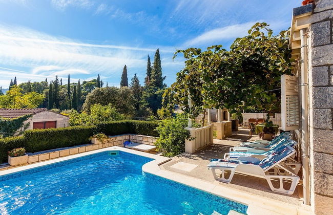 Green Garden House - Photo 30