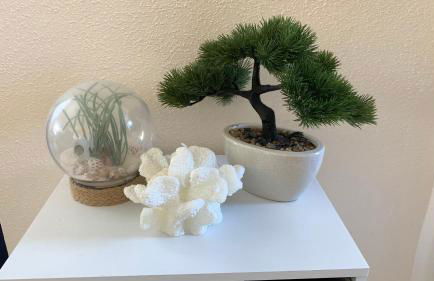 Cabo Roig - Blue Luxury Apartment - Foto 63