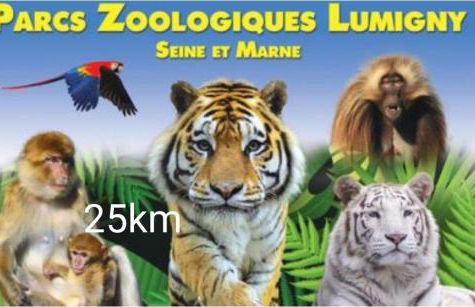 Happy casita Disneyland Paris - Foto 36