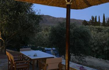 Penelopes Rhapsody Resort - Foto 18