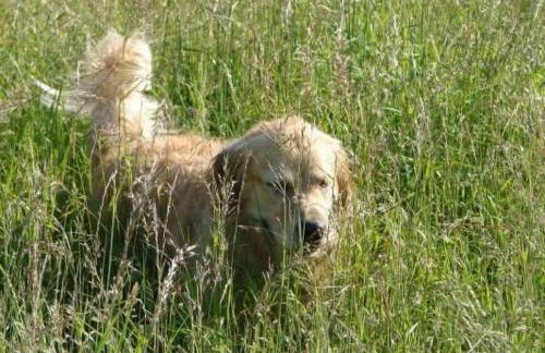 Holiday Home in Winnemark mit Großem Garten by Interhome - Foto 31