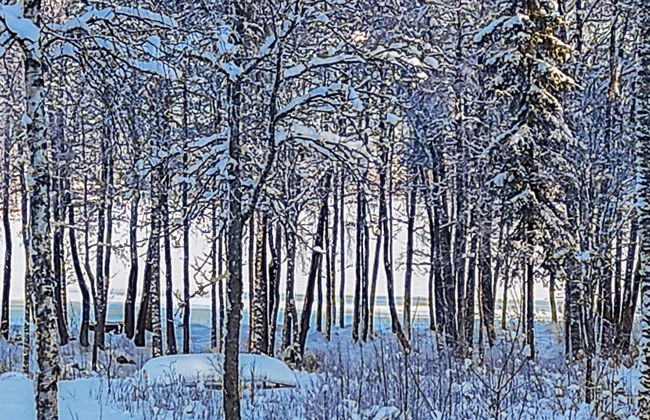 Annelinniemi - Foto 33