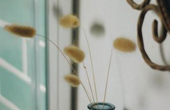 Little Bispo Apartments - Photo 13