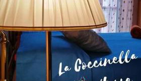 Appartamento Torino-zona Politecnico - Foto 2