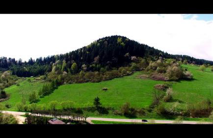 Agroturystyka-Wisłocka - Foto 45