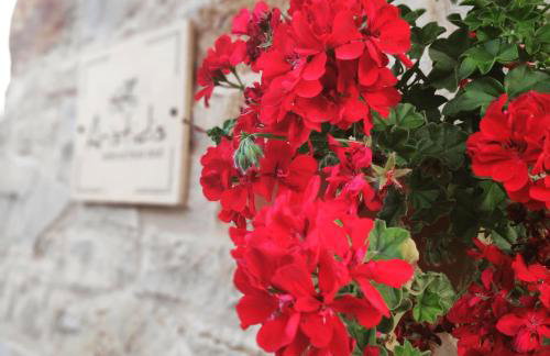 ARISTIDIS'S PLOUTI MOIRES - Foto 7