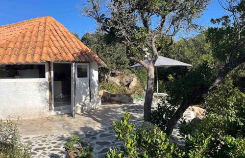 Maison de vacances dans village AUTHENTIQUE Corse - Foto 2