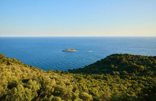 Apartments BARO - Foto 15