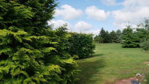 Kinderfreundliches Ferienhaus mit - Foto 4