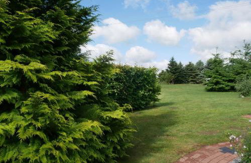 Kinderfreundliches Ferienhaus mit - Foto 4