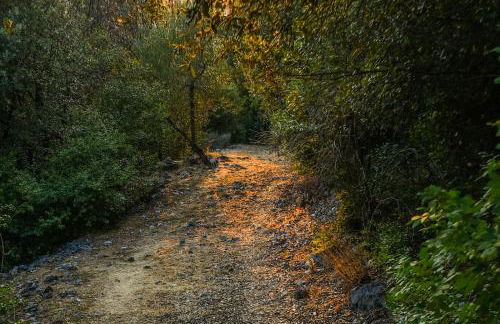 Agriturismo L'Arte del Verde - Foto 61