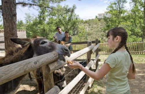Maison duplex - Domaine P&V Le Rouret - Proche Vallon Pont d'Arc - Foto 8