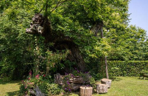 Holiday Home Gemütliches Ferienhaus in Ružići mit Offenem Kamin by Interhome - Foto 11