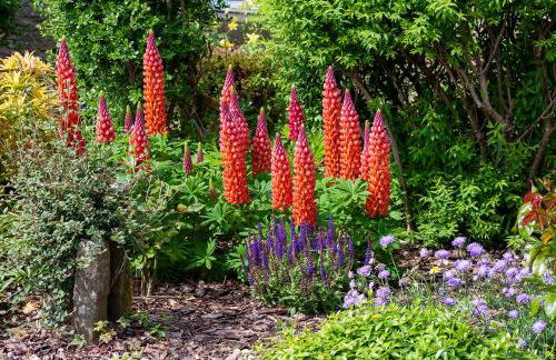 Balgavies Home Farm - Cottage - Photo 23